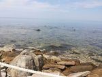 海滩