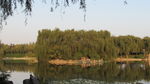 风景