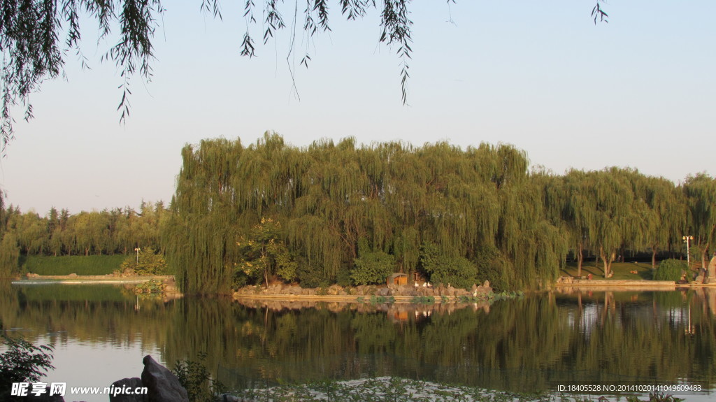 风景