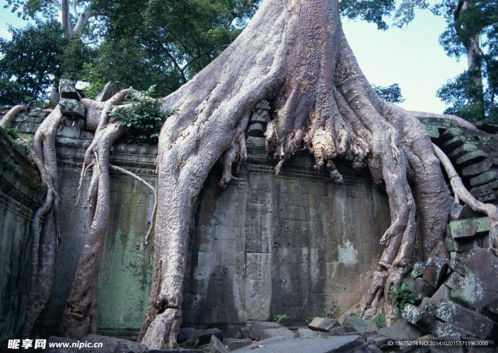 亚洲风光