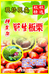板栗