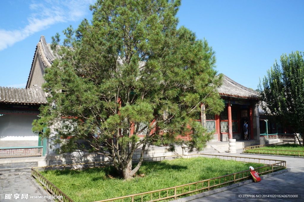 颐和园风景
