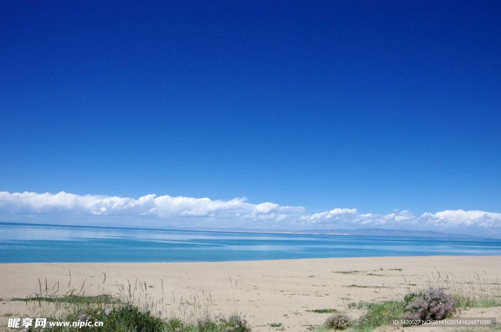 青海湖