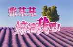 嫁给我吧