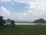 丛林湿地