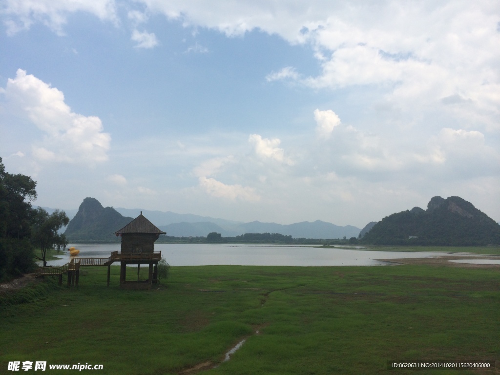 丛林湿地