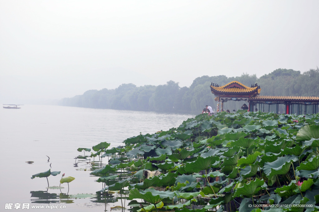 西湖美景