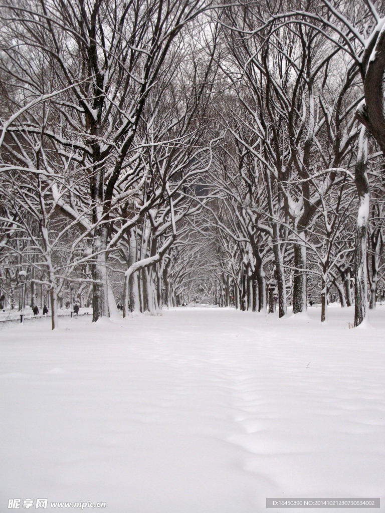 雪景