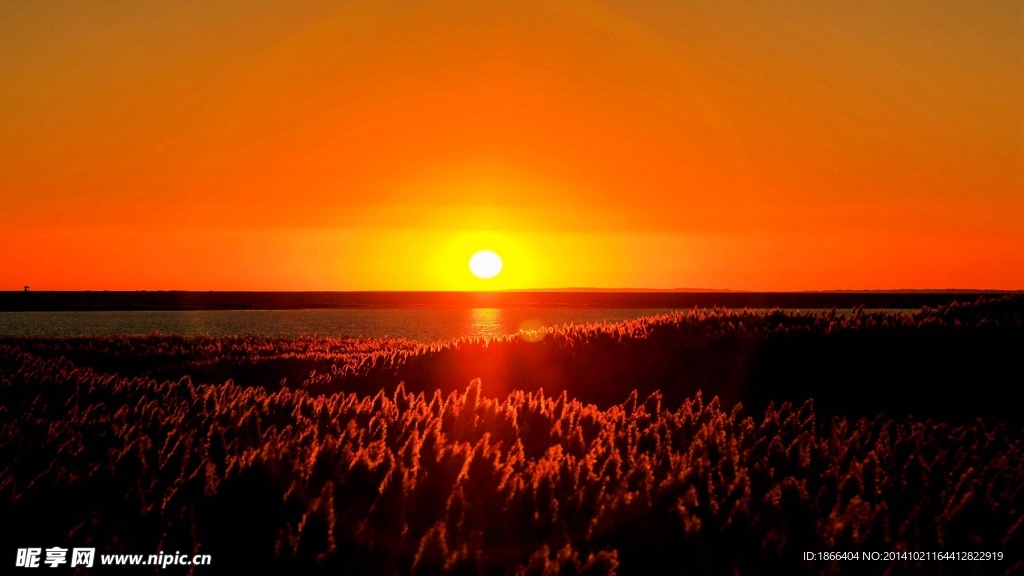 居延海日出