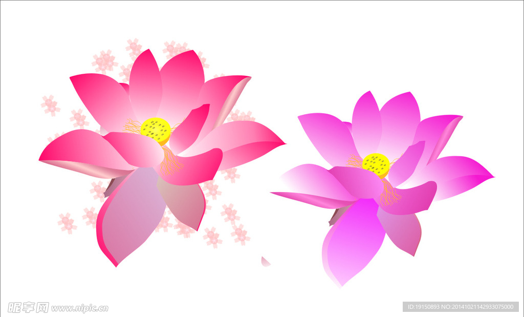 莲花矢量图