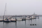 日照