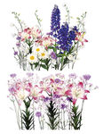 百合花素材