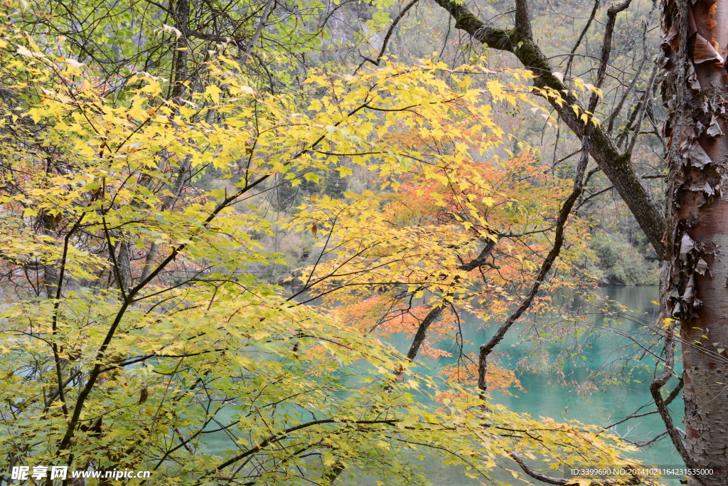 黄龙九寨沟