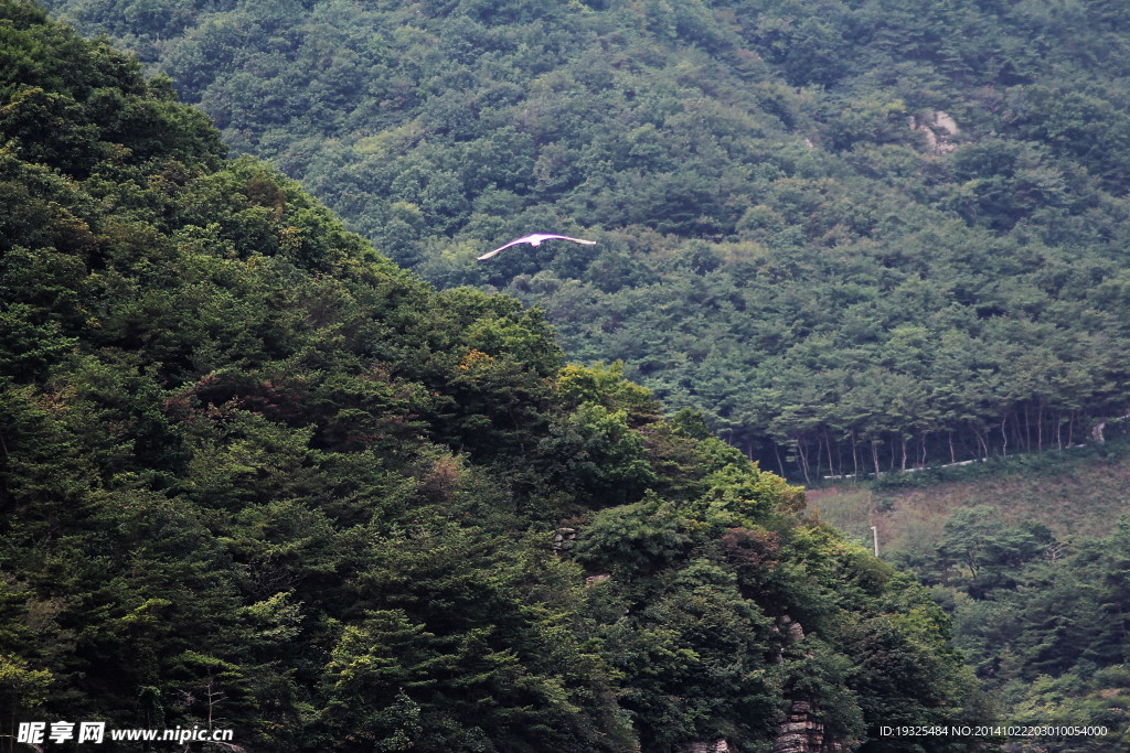 西山水库