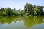 公园湖水风景