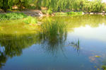湖边风景