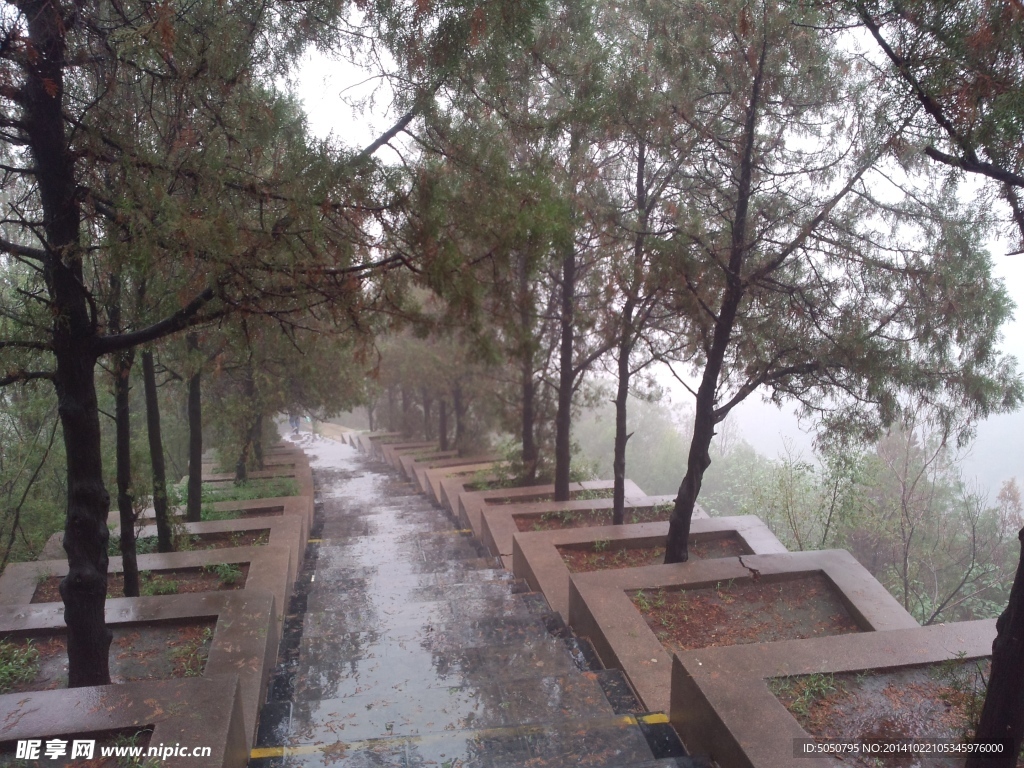 雨后山林