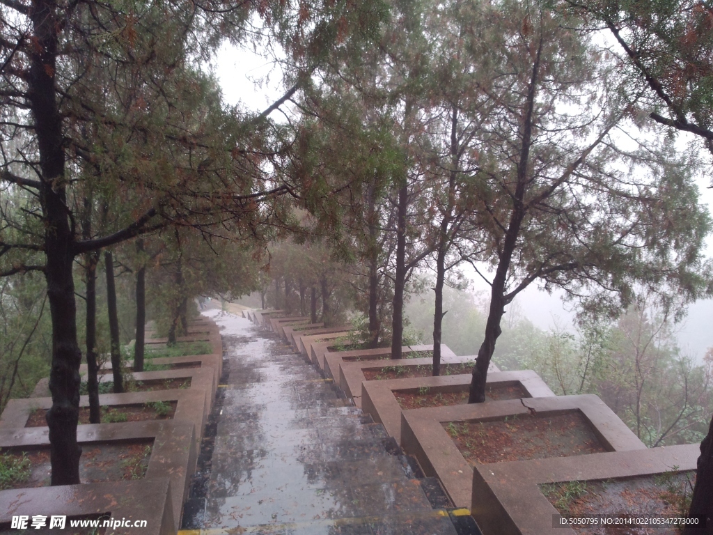 雨后山林