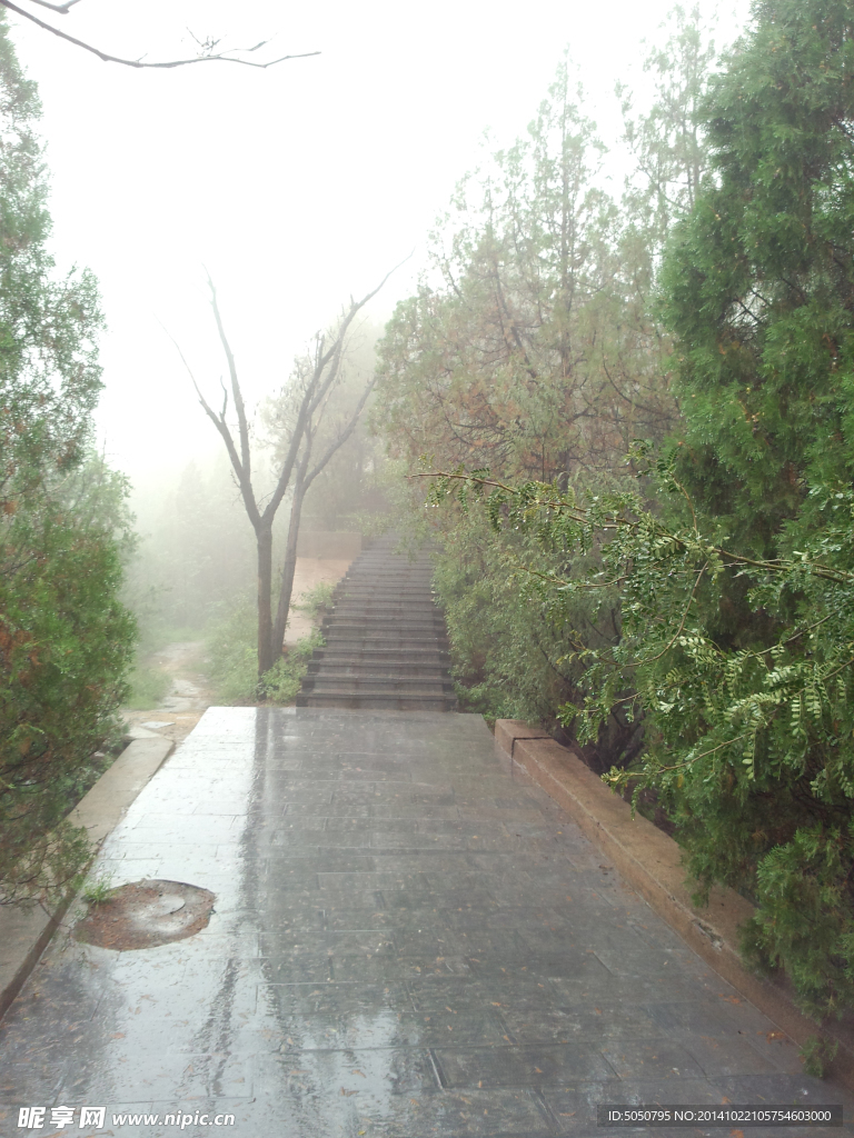 雨后山林