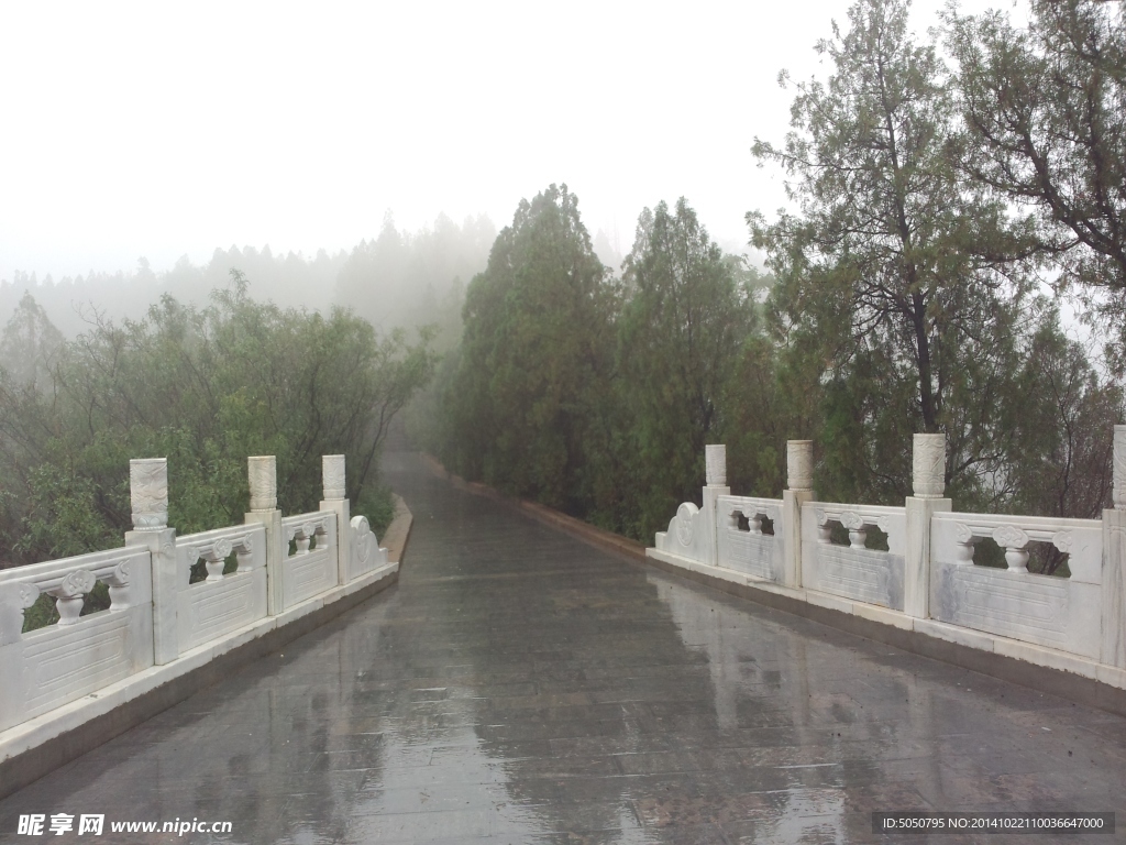 雨后山林