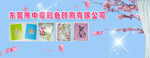 企业形象网络宣传广告