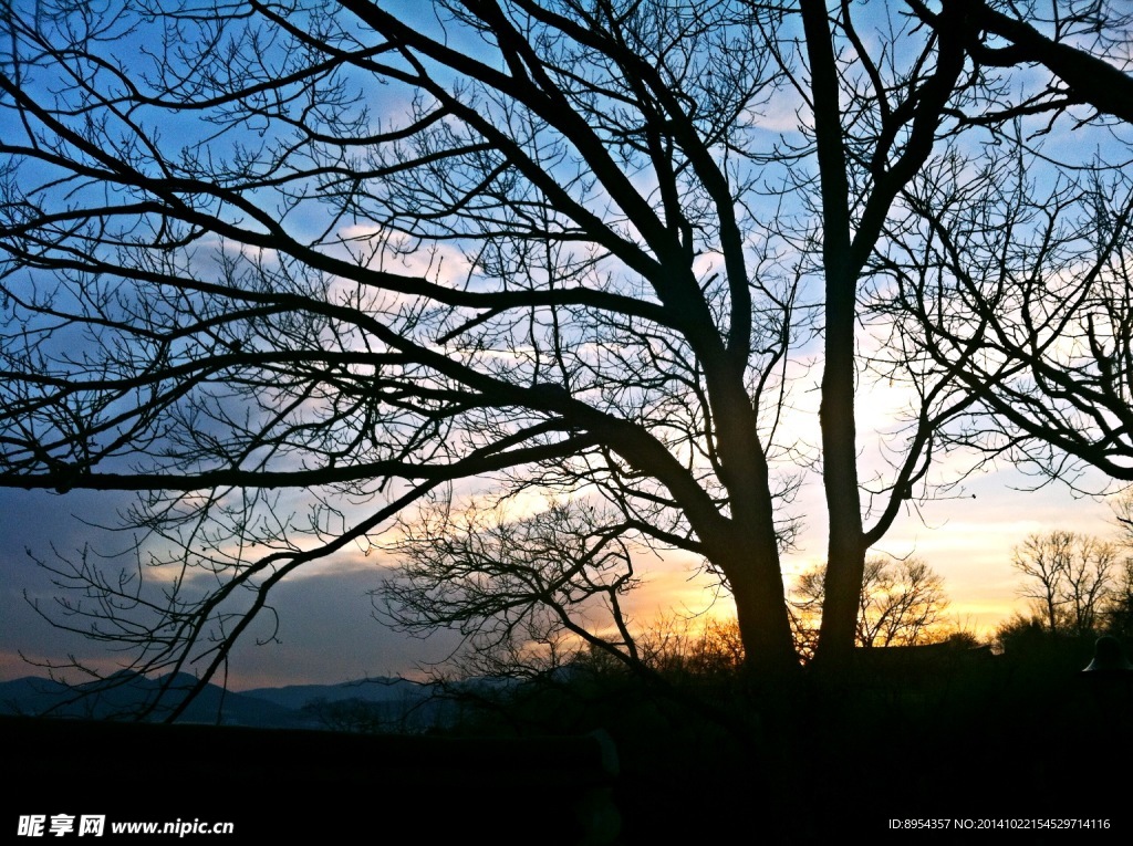 庆州良洞村夕阳