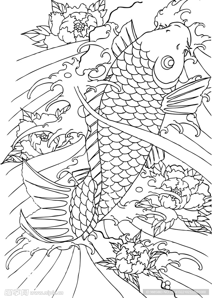 线描鲤鱼