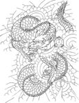 龙纹