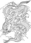 龙纹