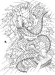 龙纹