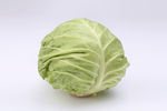 牛心菜