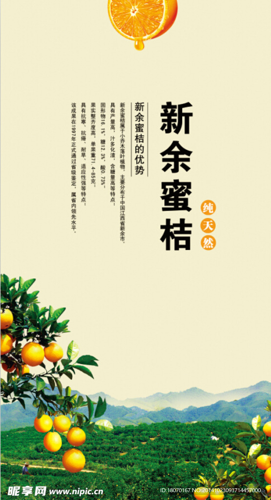 新余蜜桔
