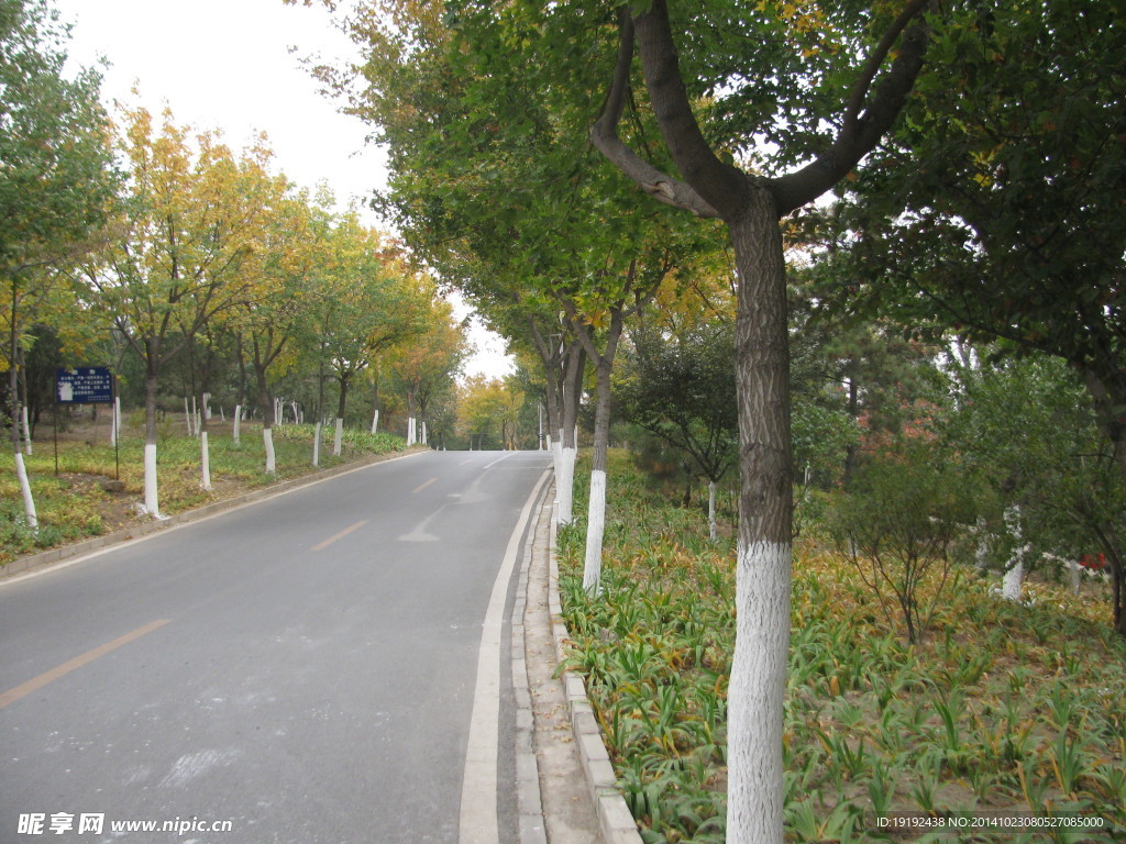 山路
