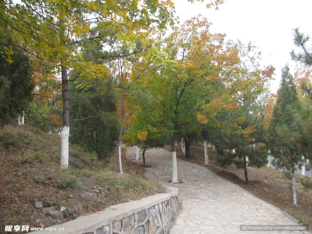 山路