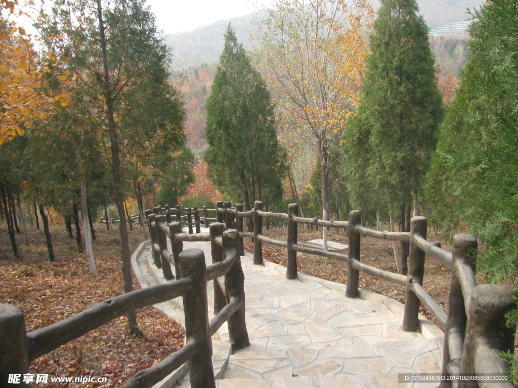 山路