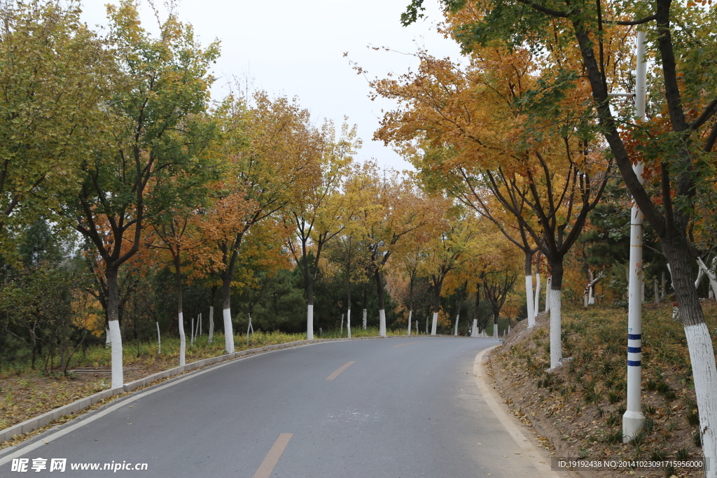 公路