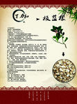 中药材彩页