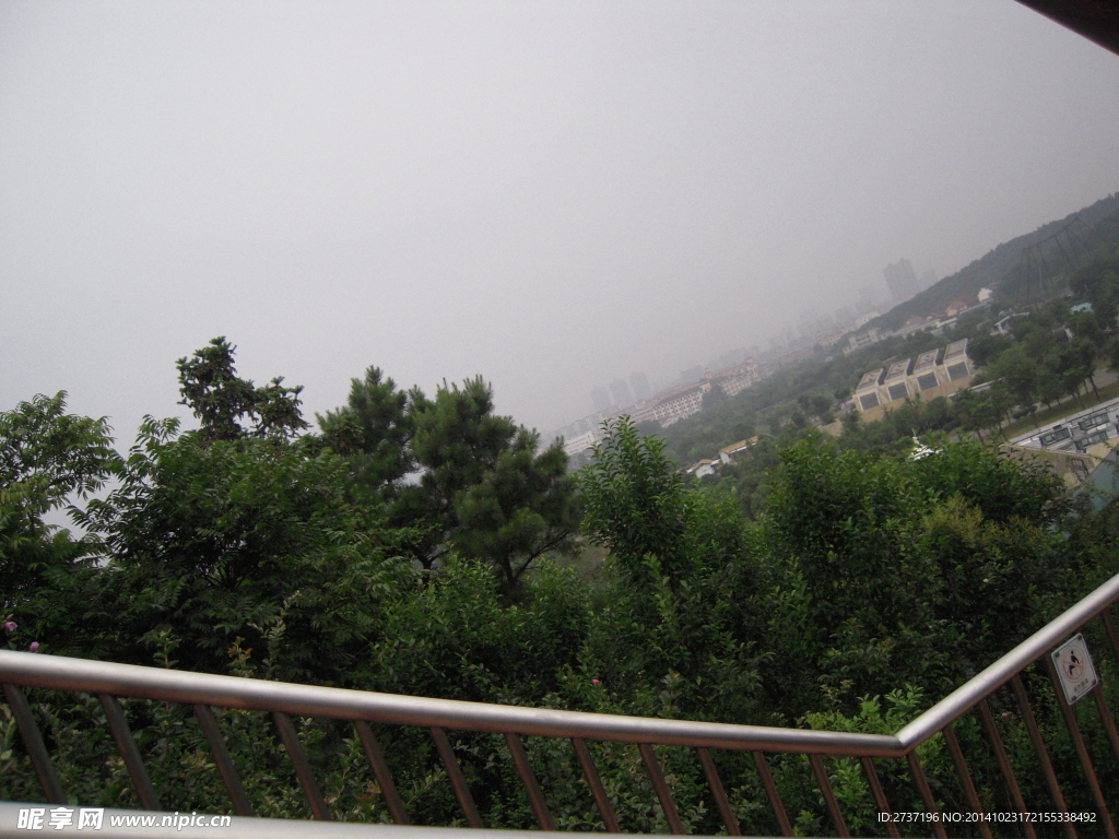 绿色风景