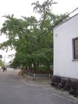 西山人家