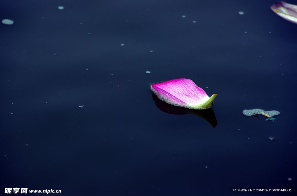 花瓣