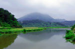 青山绿水