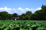 夏日西湖