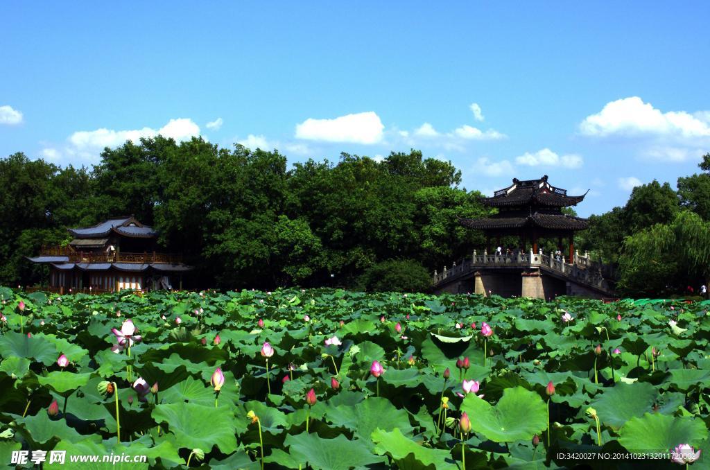 夏日西湖