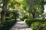 公园小路