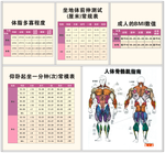 健身房测试表