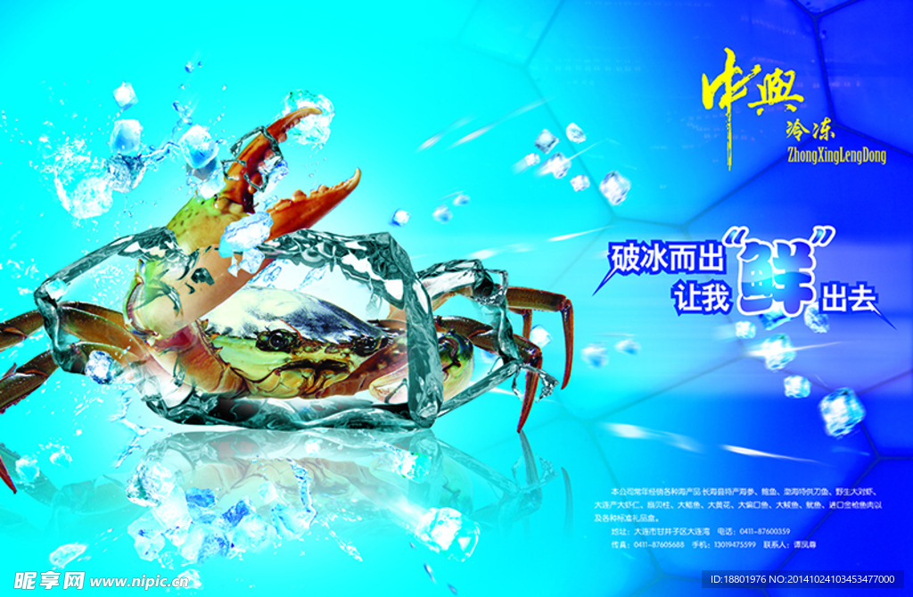 海产品背景