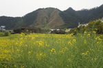 三清山 途经风景