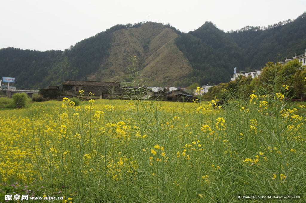 三清山 途经风景