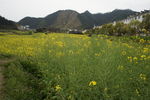 三清山 途经风景