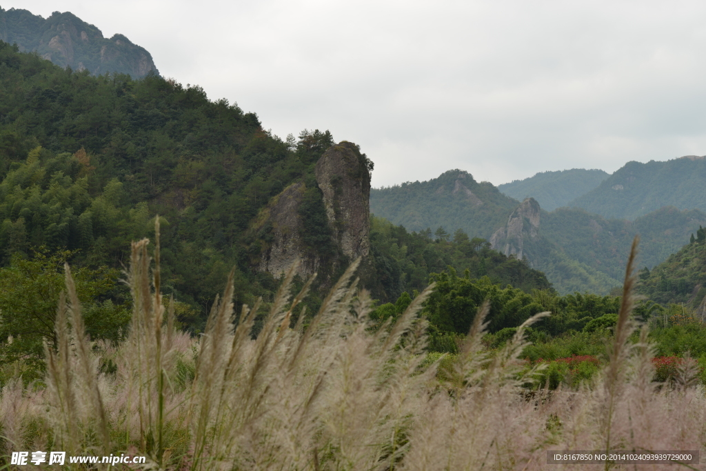 秋山